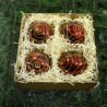 Zestaw prezentowy czterosztukowy  - Bombki szklane 10cm, złoty ślimak z perła na bordo lakier.